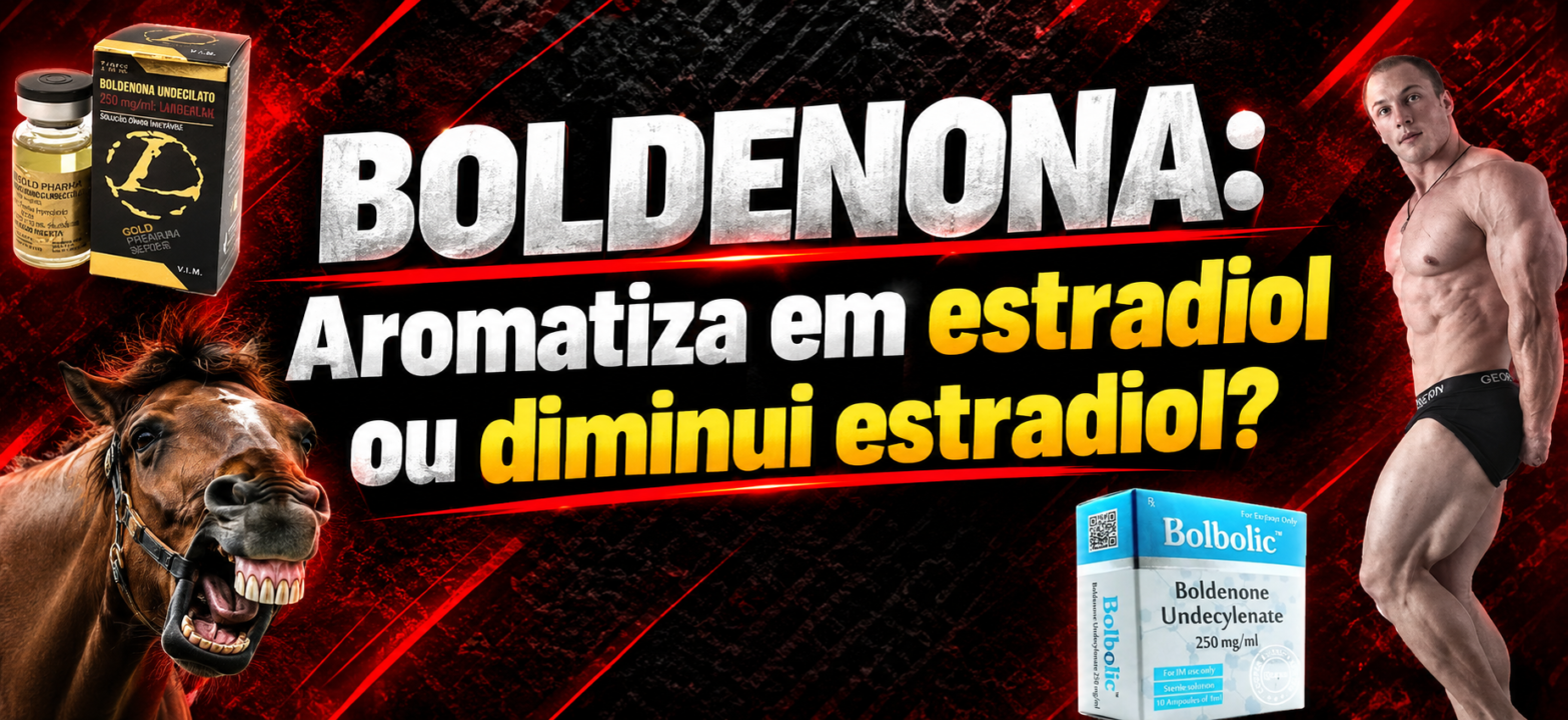 Boldenona aromatiza em estradiol ou inibe a aromatase? Por Gabriel Tejada